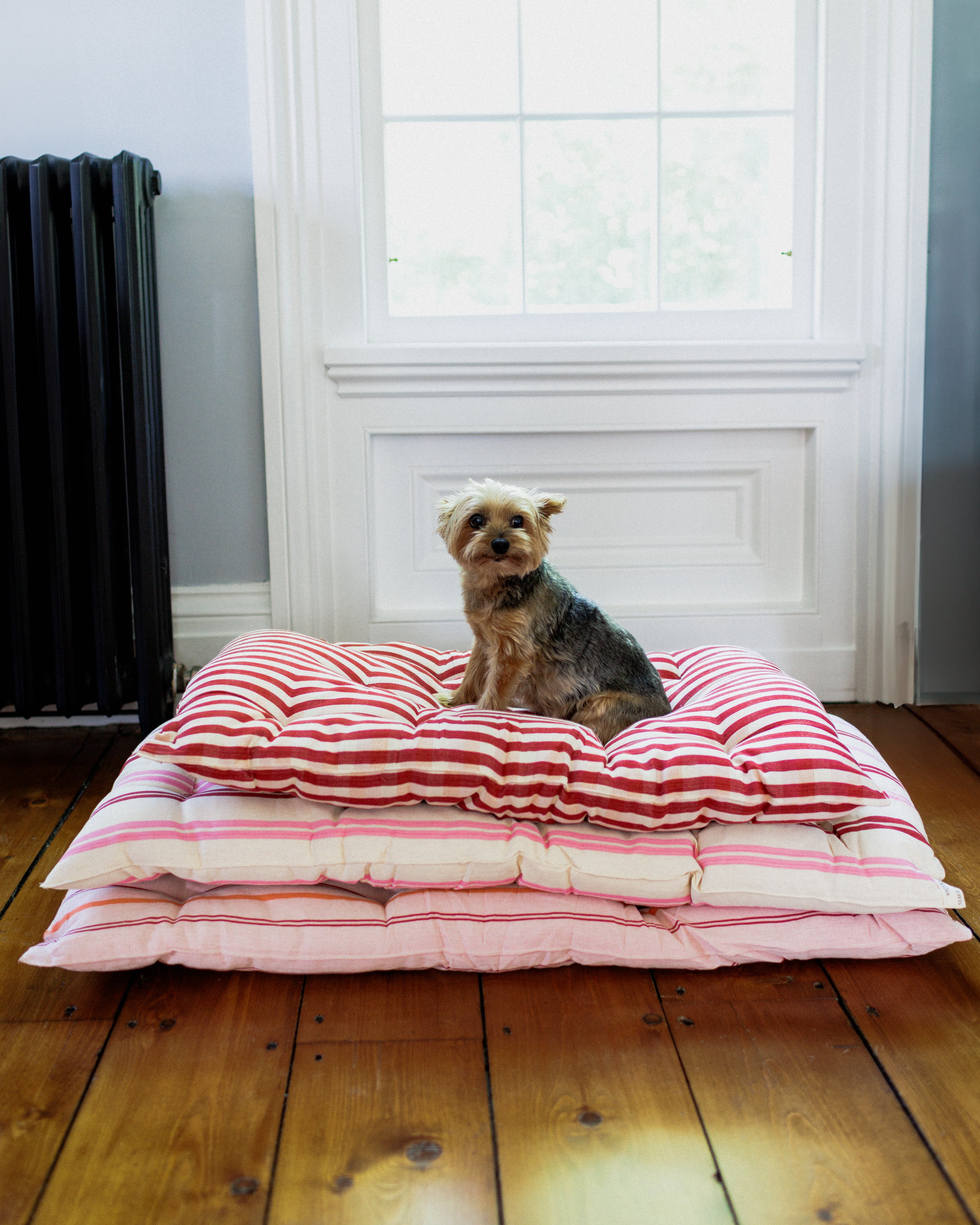 Marton & Davis x Tensira Dog Bed