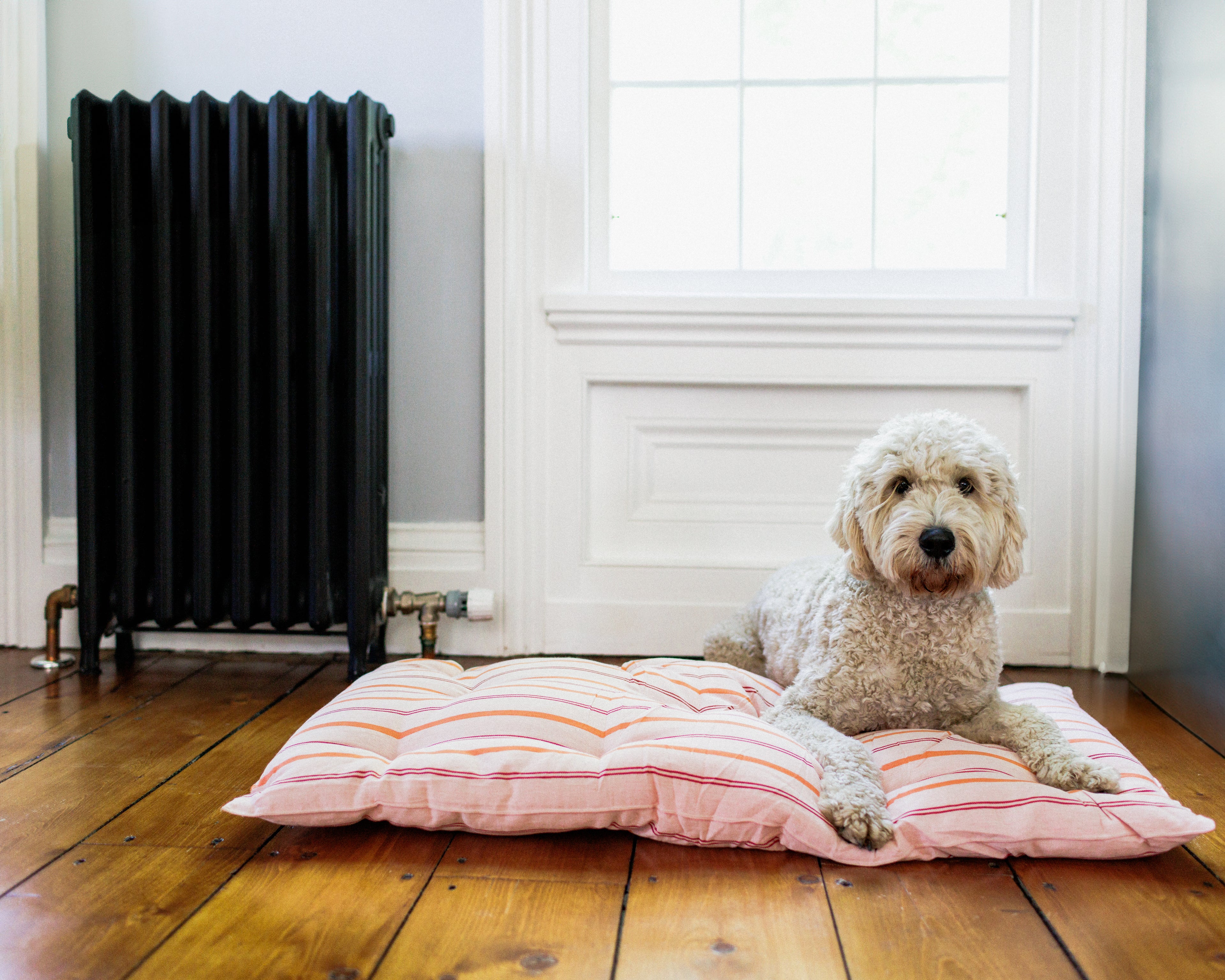 Marton & Davis x Tensira Dog Bed